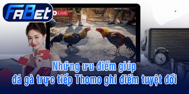 Những ưu điểm giúp đá gà trực tiếp Thomo ghi điểm tuyệt đối